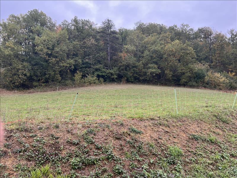 Vente Terrain MALABAT - -2393 m² - (32730)