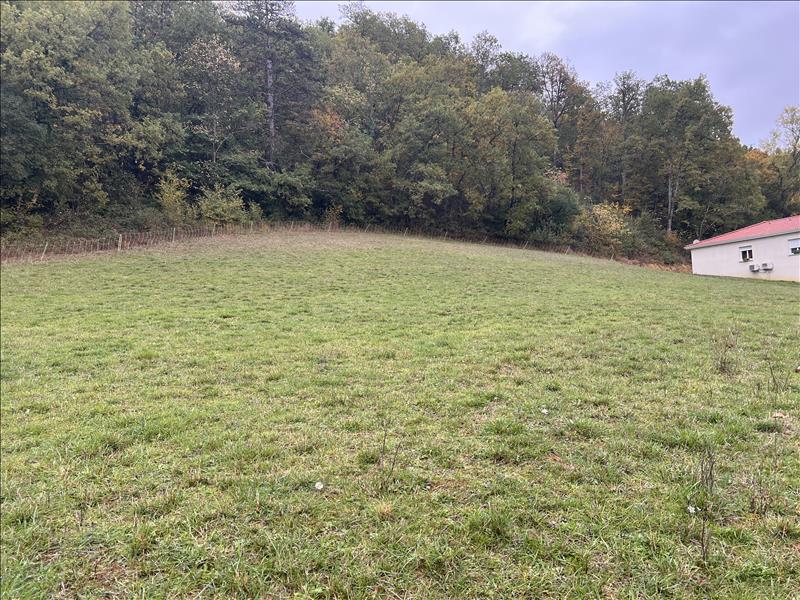 Vente Terrain MALABAT - -2393 m² - (32730)