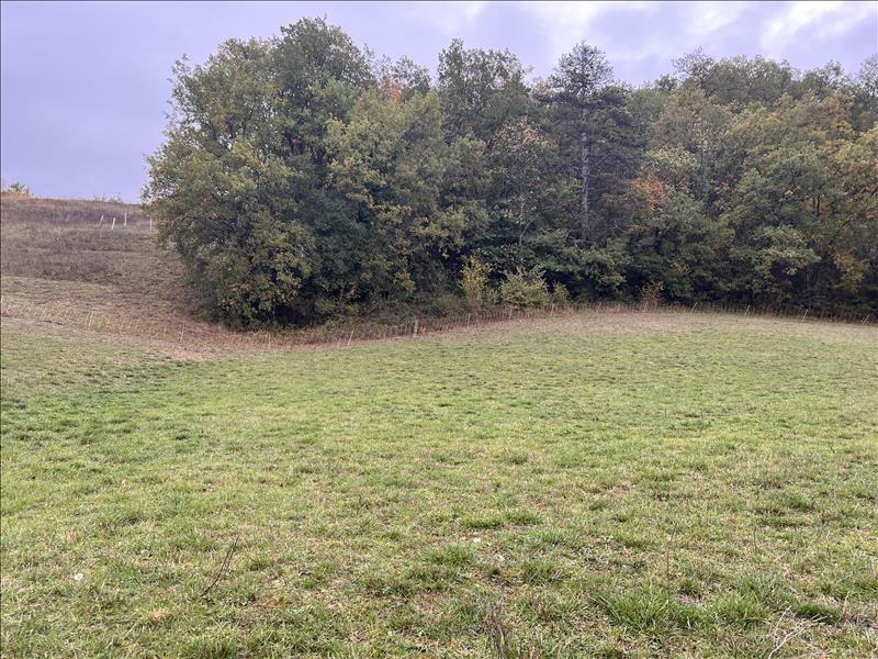 Vente Terrain MALABAT - -2393 m² - (32730)