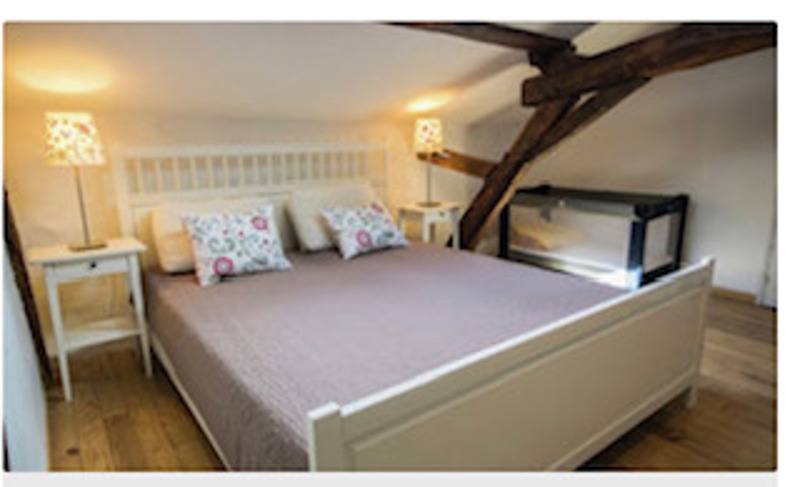Vente Maison Buzon - 12 pièces -396 m² - (65140)