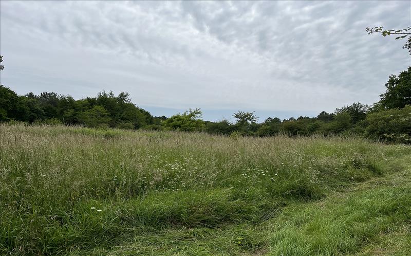 Vente Terrain CISSAC MEDOC 33250  647 m²