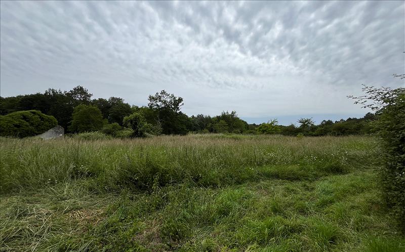 Vente Terrain CISSAC MEDOC 33250  3050 m²
