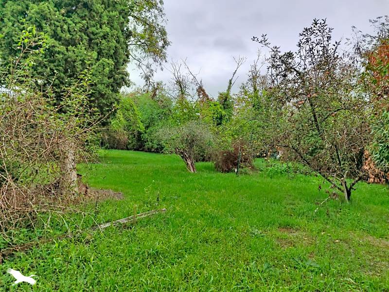 Vente Maison Saint-Martin-la-Garenne - 4 pièces -98 m² - (78520)
