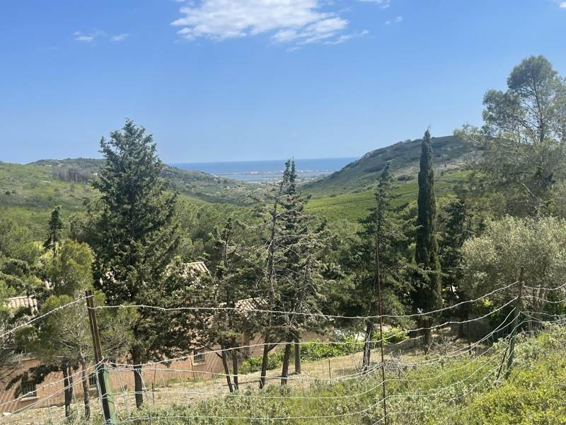 Vente Terrain FRONTIGNAN - -242148 m² - (34110)