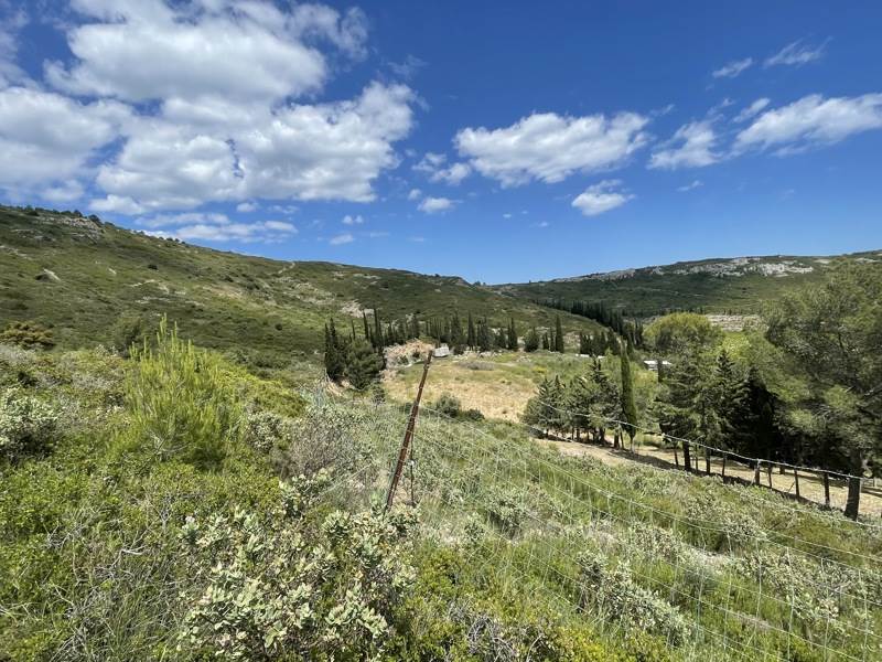 Vente Terrain FRONTIGNAN - -242148 m² - (34110)