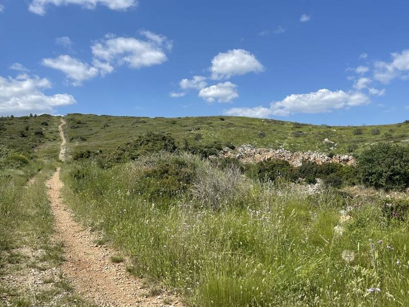Vente Terrain FRONTIGNAN - -242148 m² - (34110)