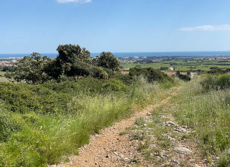 Vente Terrain FRONTIGNAN - -242148 m² - (34110)