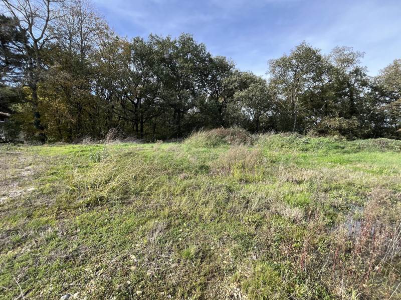 Vente Terrain PUJAUDRAN - -1593 m² - (32600)