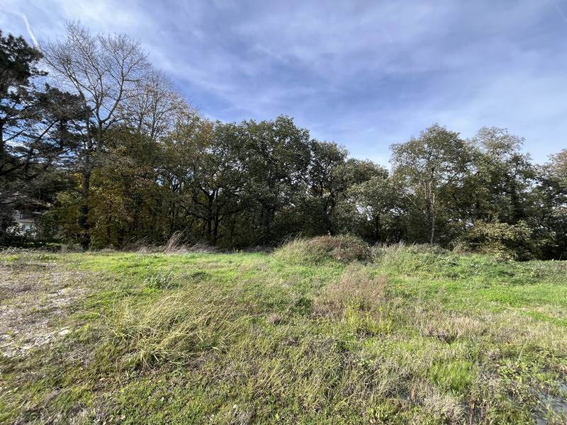 Vente Terrain PUJAUDRAN - -1593 m² - (32600)