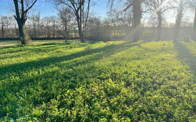 Vente Terrain L ISLE JOURDAIN - -1000 m² - (32600)