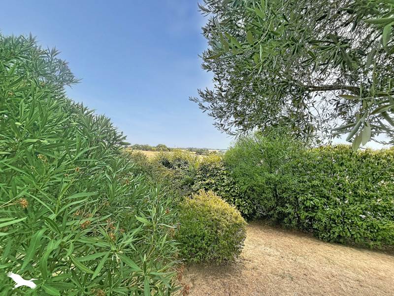 Vente Maison BEAUPUY - 6 pièces -143 m² - (32600)