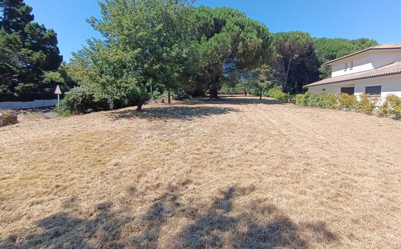 Vente Terrain LATRESNE - -1264 m² - (33360)
