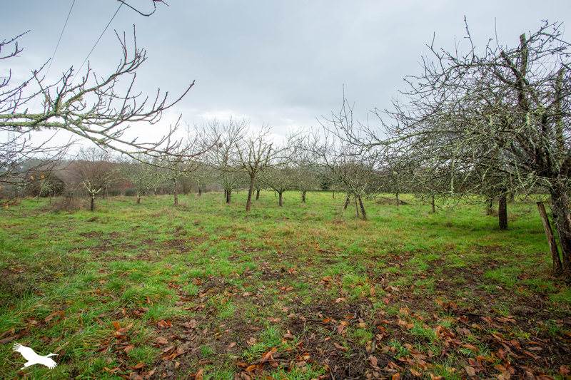 Vente Maison CARIGNAN DE BORDEAUX - 4 pièces -85 m² - (33360)