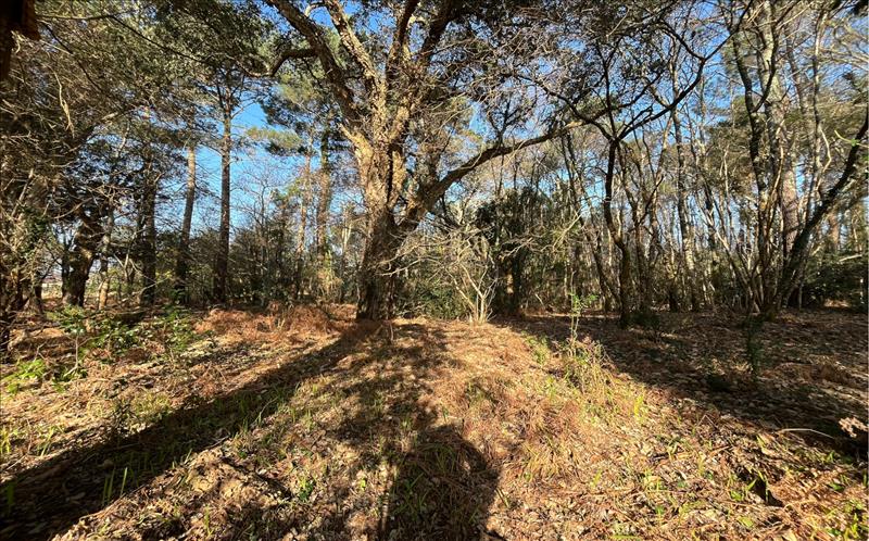 Vente Terrain VIELLE ST GIRONS 40560  1704 m²