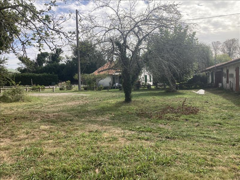 Vente Terrain LINXE - -427 m² - (40260)