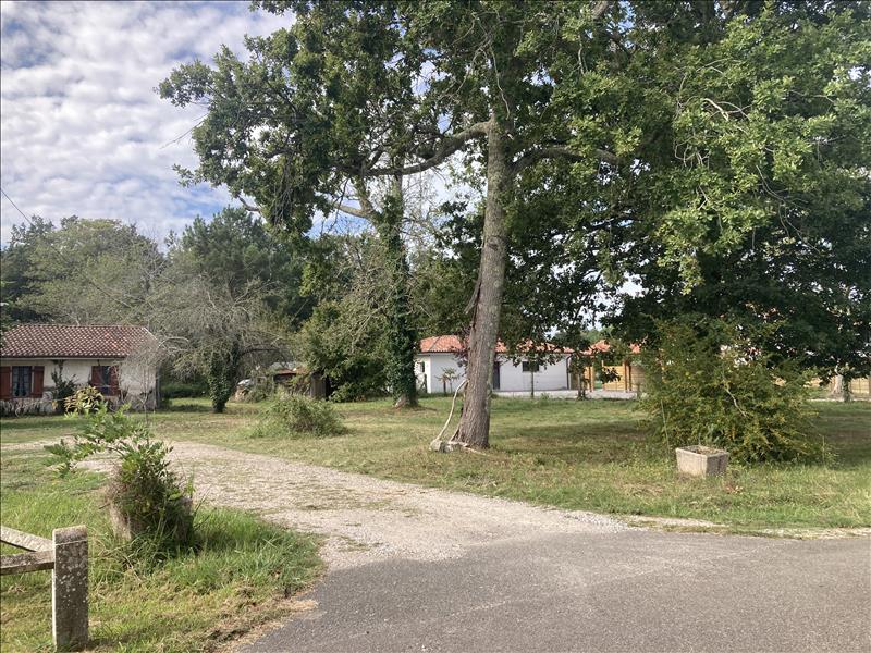 Vente Terrain LINXE - -427 m² - (40260)