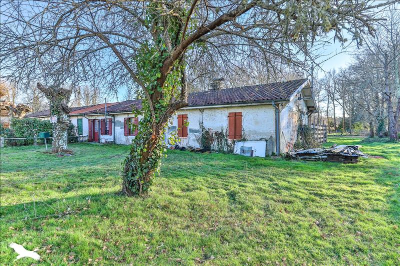 Vente Maison LINXE - 4 pièces -120 m² - (40260)