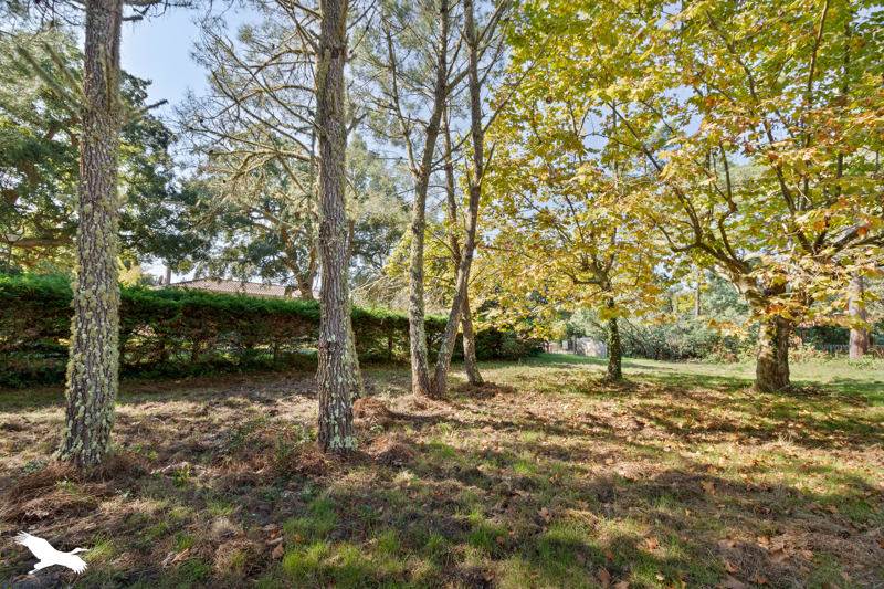 Vente Maison MOLIETS ET MAA - 4 pièces -97 m² - (40660)