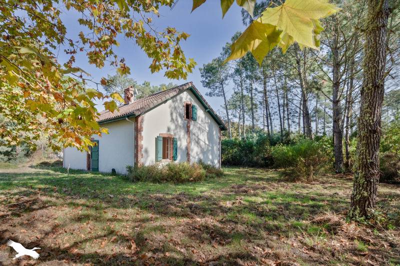 Vente Maison MOLIETS ET MAA - 4 pièces -97 m² - (40660)