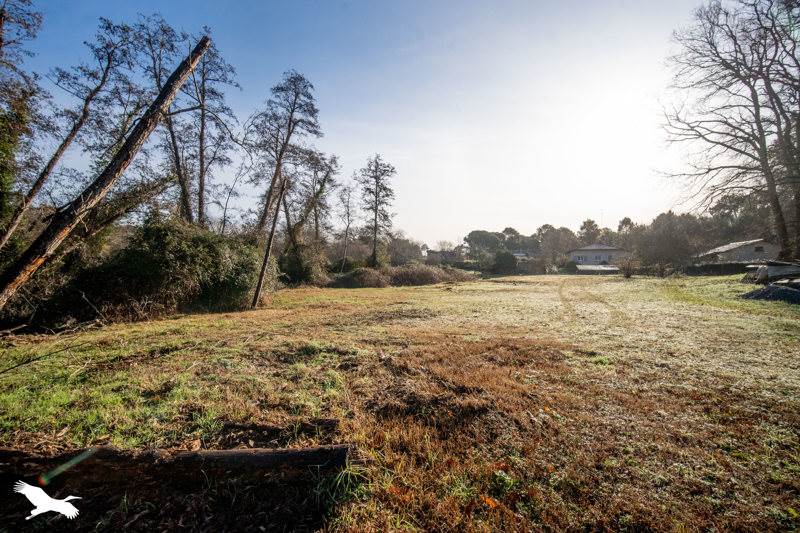Vente Maison LEON - 7 pièces -190 m² - (40550)