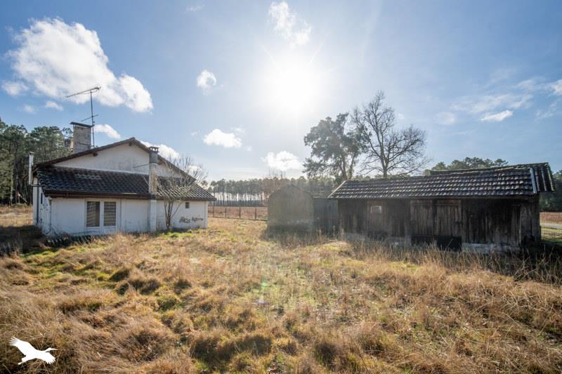 Vente Maison VIELLE ST GIRONS - 3 pièces -95 m² - (40560)