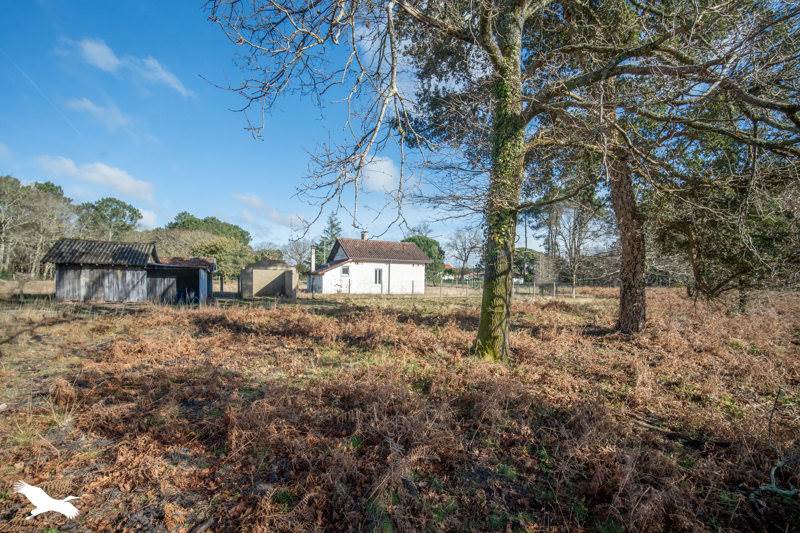 Vente Maison VIELLE ST GIRONS - 3 pièces -95 m² - (40560)