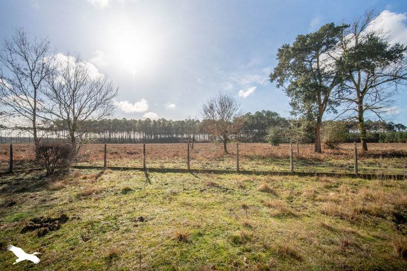 Vente Maison VIELLE ST GIRONS - 3 pièces -95 m² - (40560)