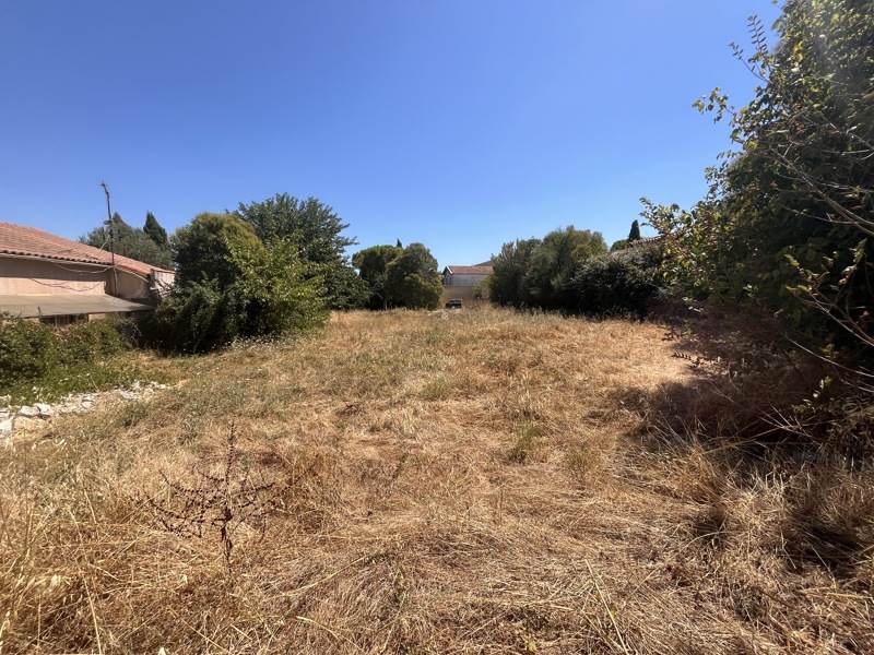 Vente Terrain MONTPELLIER - -584 m² - (34070)