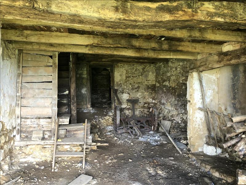 Vente Maison MILHAC DE NONTRON - 2 pièces -45 m² - (24470)