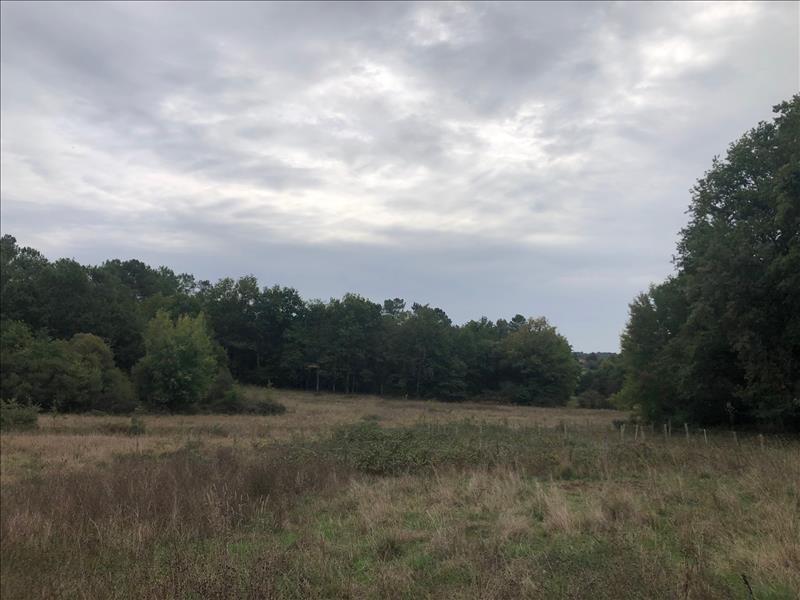 Vente Maison MILHAC DE NONTRON - - - (24470)