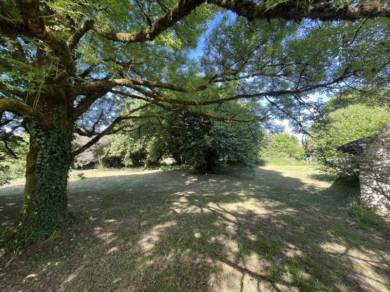 Vente Maison MIALET - 3 pièces -97 m² - (24450)