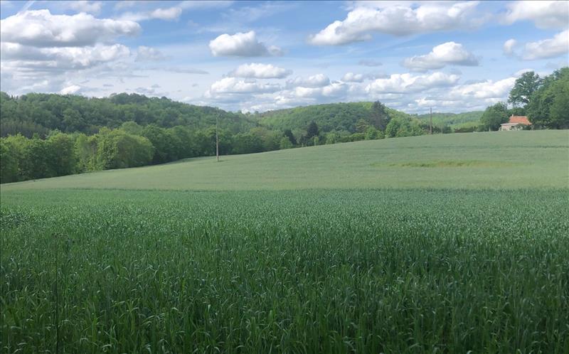 Vente Terrain ST JEAN DE COLE - -1500 m² - (24800)