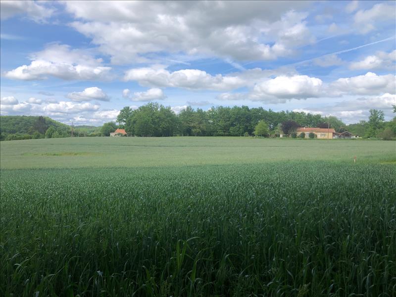 Vente Terrain ST JEAN DE COLE - -1500 m² - (24800)