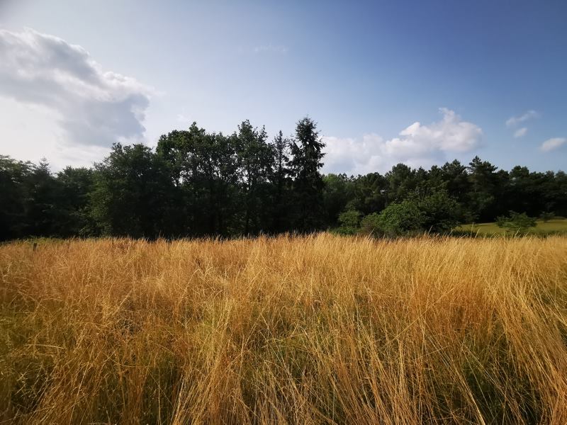 Vente Maison NEGRONDES - 2 pièces -68 m² - (24460)