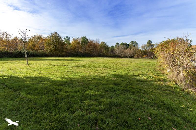 Vente Maison VAUNAC - 7 pièces -172 m² - (24800)