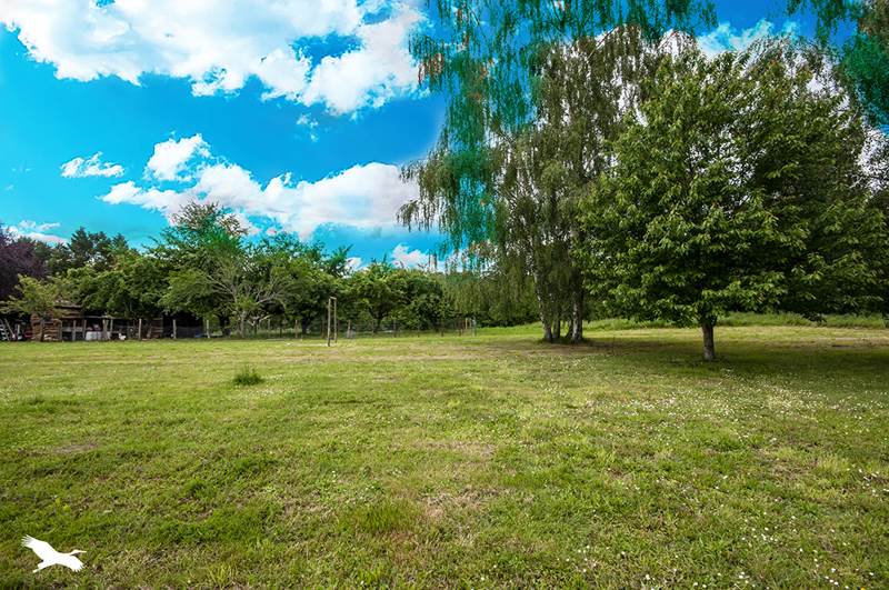 Vente Maison ST PAUL LA ROCHE - 5 pièces -149 m² - (24800)