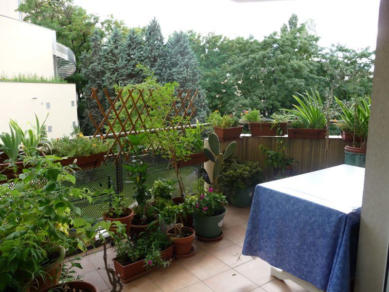 Vente Appartement VILLEURBANNE - 3 pièces -65 m² - (69100)