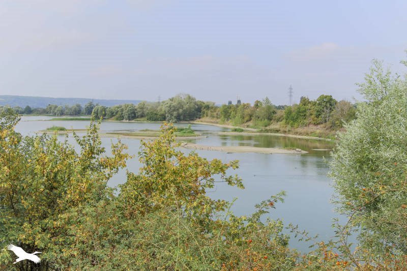 Vente Maison EPONE - 5 pièces -92 m² - (78680)