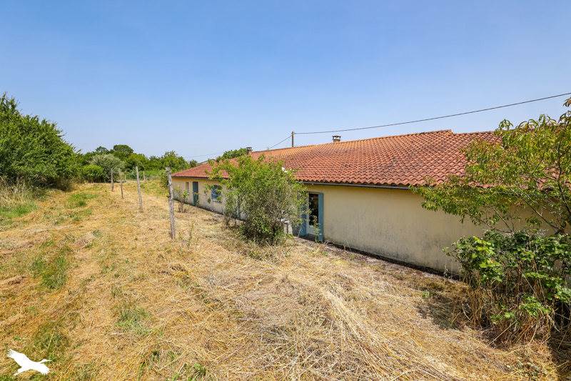 Vente Maison TOUVERAC - 9 pièces -174 m² - (16360)