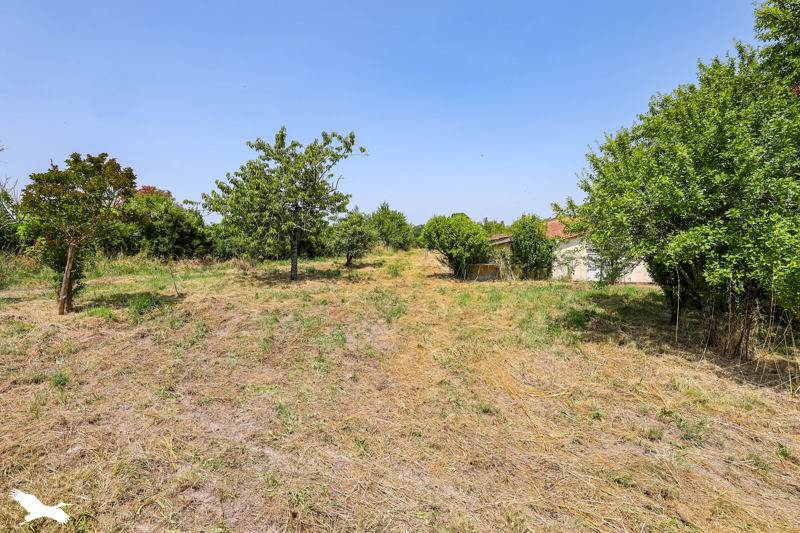 Vente Maison TOUVERAC - 9 pièces -174 m² - (16360)