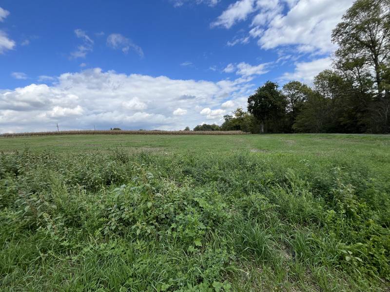 Vente Grange BELLEVIGNE - 1 pièce -80 m² - (16120)