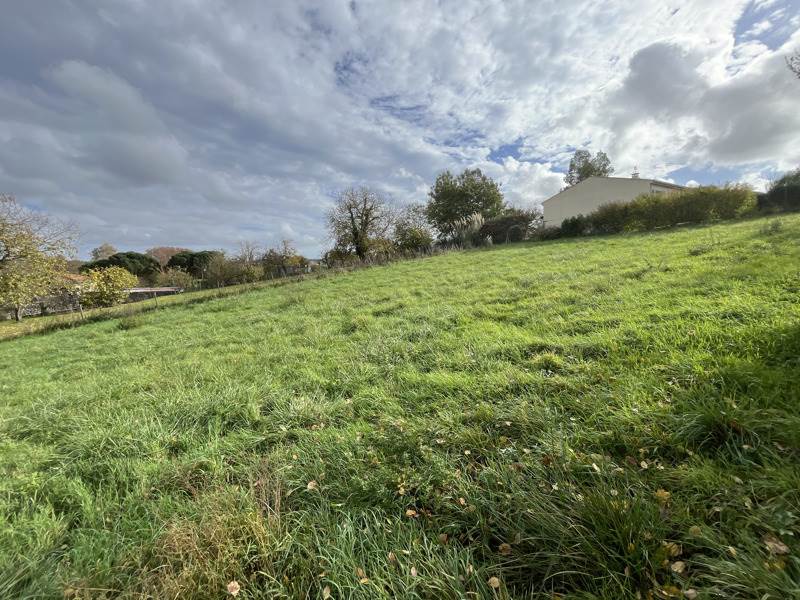 Vente Terrain BAIGNES STE RADEGONDE - -1572 m² - (16360)