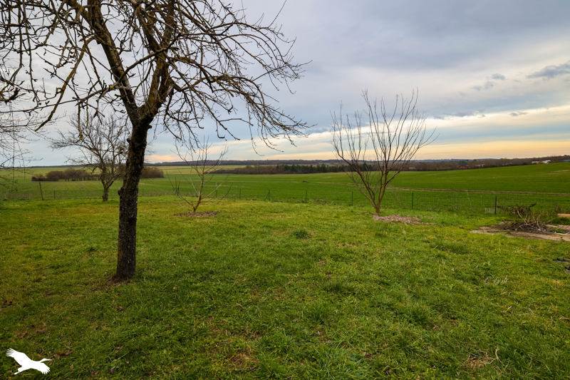 Vente Grange VAL DES VIGNES - 5 pièces -132 m² - (16250)