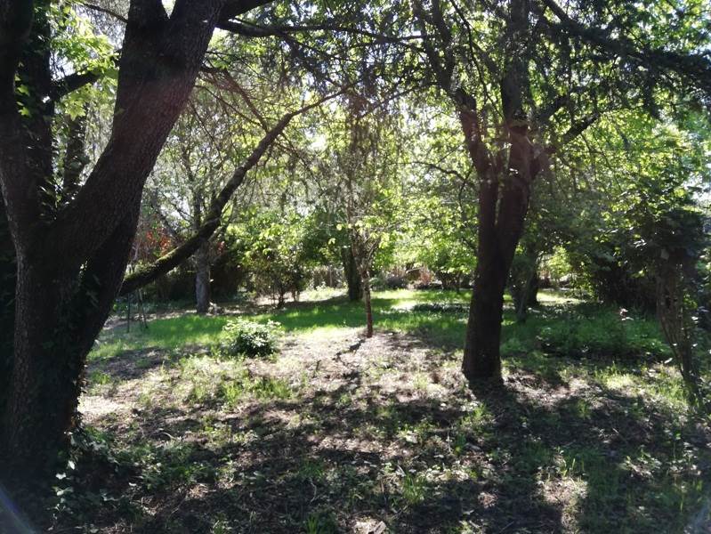 Vente Maison ST BENOIT DU SAULT - 5 pièces -115 m² - (36170)