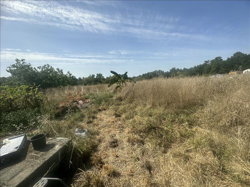 Vente Maison CHANTERAC - 5 pièces -113 m² - (24190)