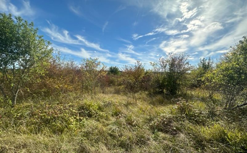 Vente Terrain FOULEIX - -54415 m² - (24380)