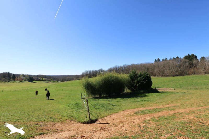 Vente Maison ST MICHEL DE VILLADEIX - 4 pièces -130 m² - (24380)