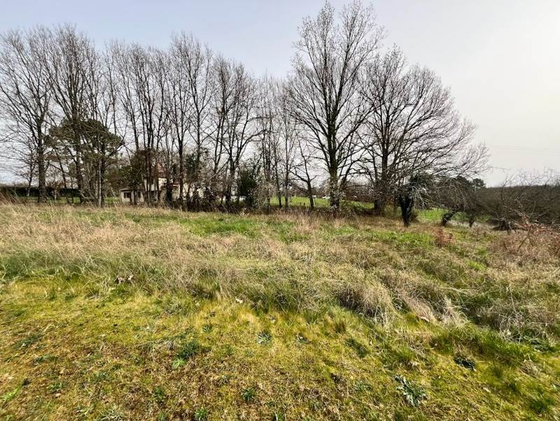 Vente Terrain EGLISE NEUVE DE VERGT - -3266 m² - (24380)
