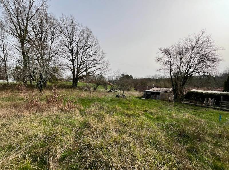 Vente Terrain EGLISE NEUVE DE VERGT - -3266 m² - (24380)