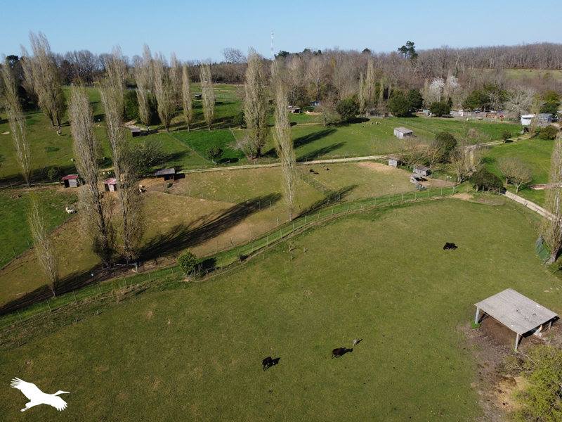 Vente Maison CAMPSEGRET - 2 pièces -100 m² - (24140)